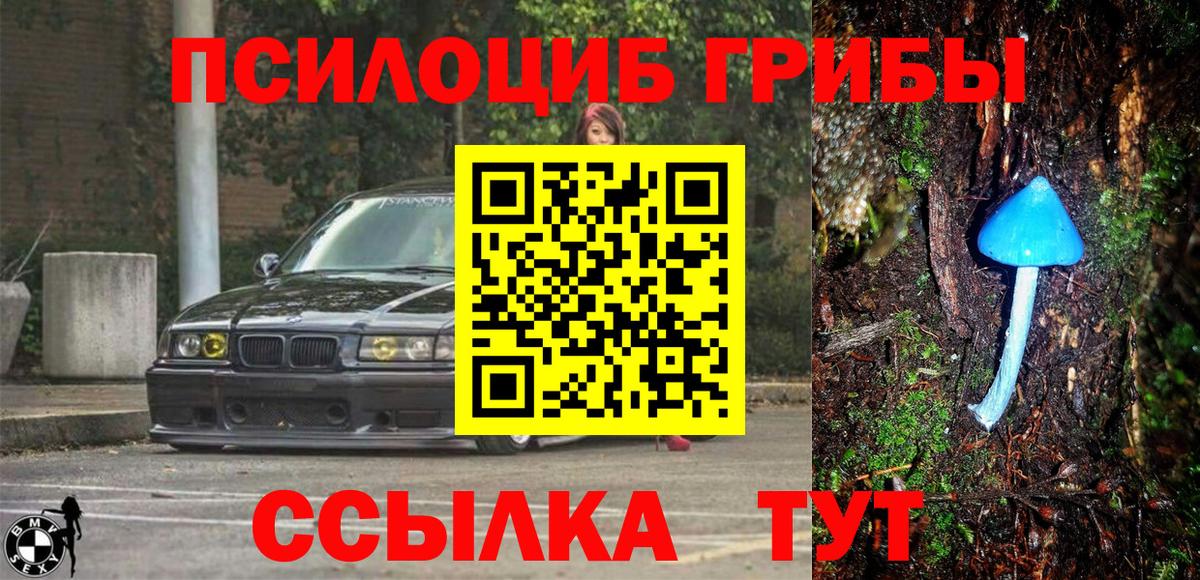 Галлюциногенные грибы MAGIC MUSHROOMS Вязники